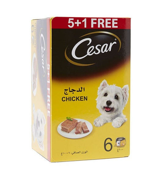 Cesar Chicken 5+1 FREE Promo Pack Wet Dog Food – 6X100G