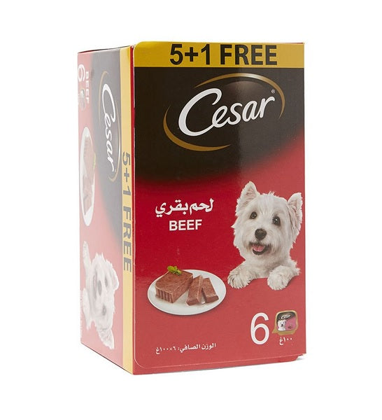 Cesar Beef 5+1 FREE Promo Pack Wet Dog Food – 6X100G