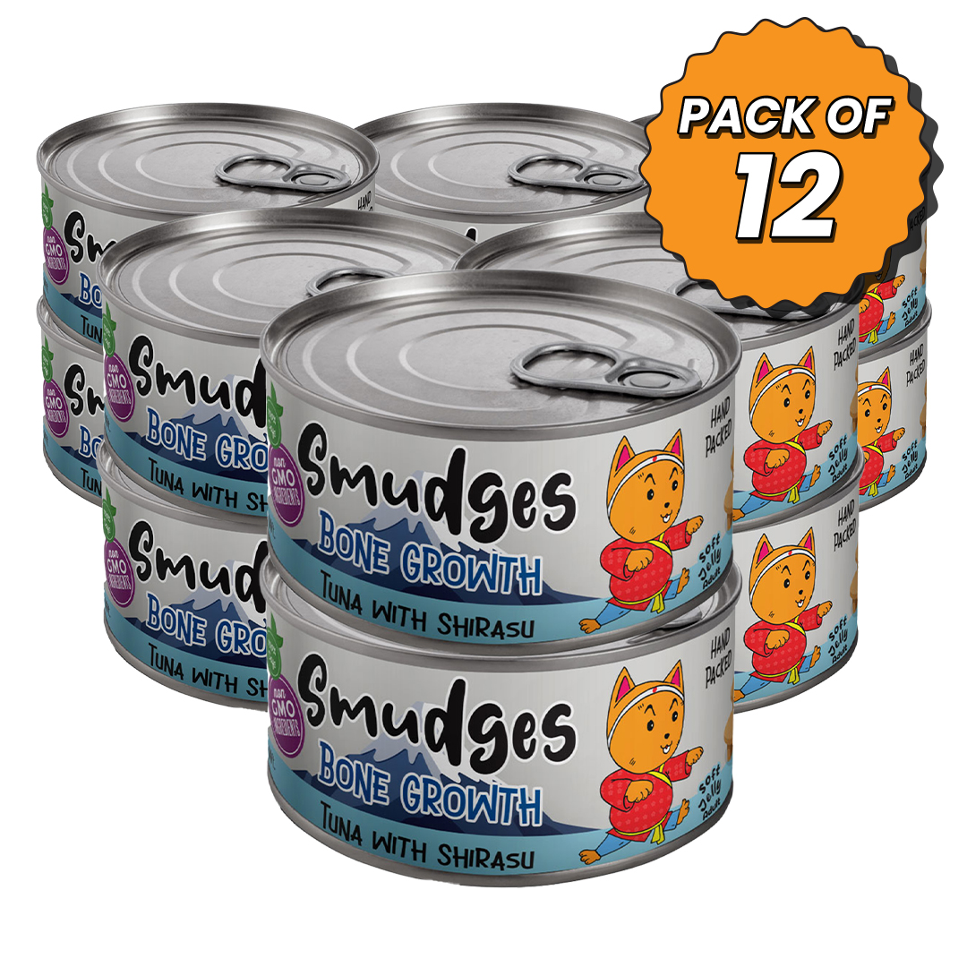Smudges Kitten Chicken Shredded in Gravy 60g Pack of 12