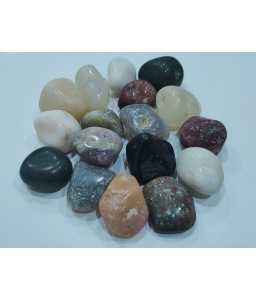 Indian Stone Aquarium Pebbles – Stones – Rocks – Gravel