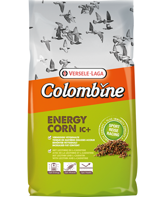 Energy-Corn I.C.⁺