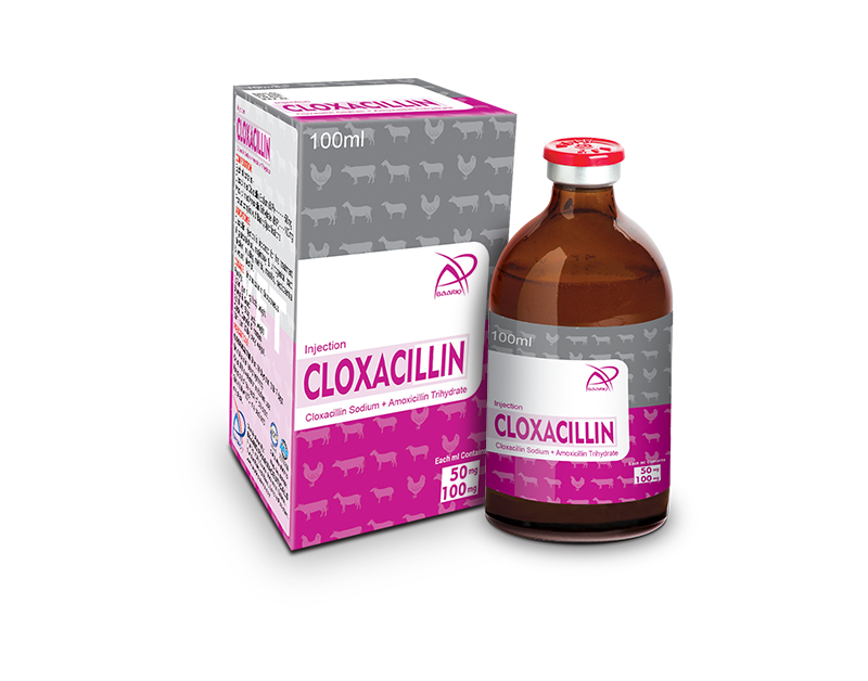 CLOXACILLIN