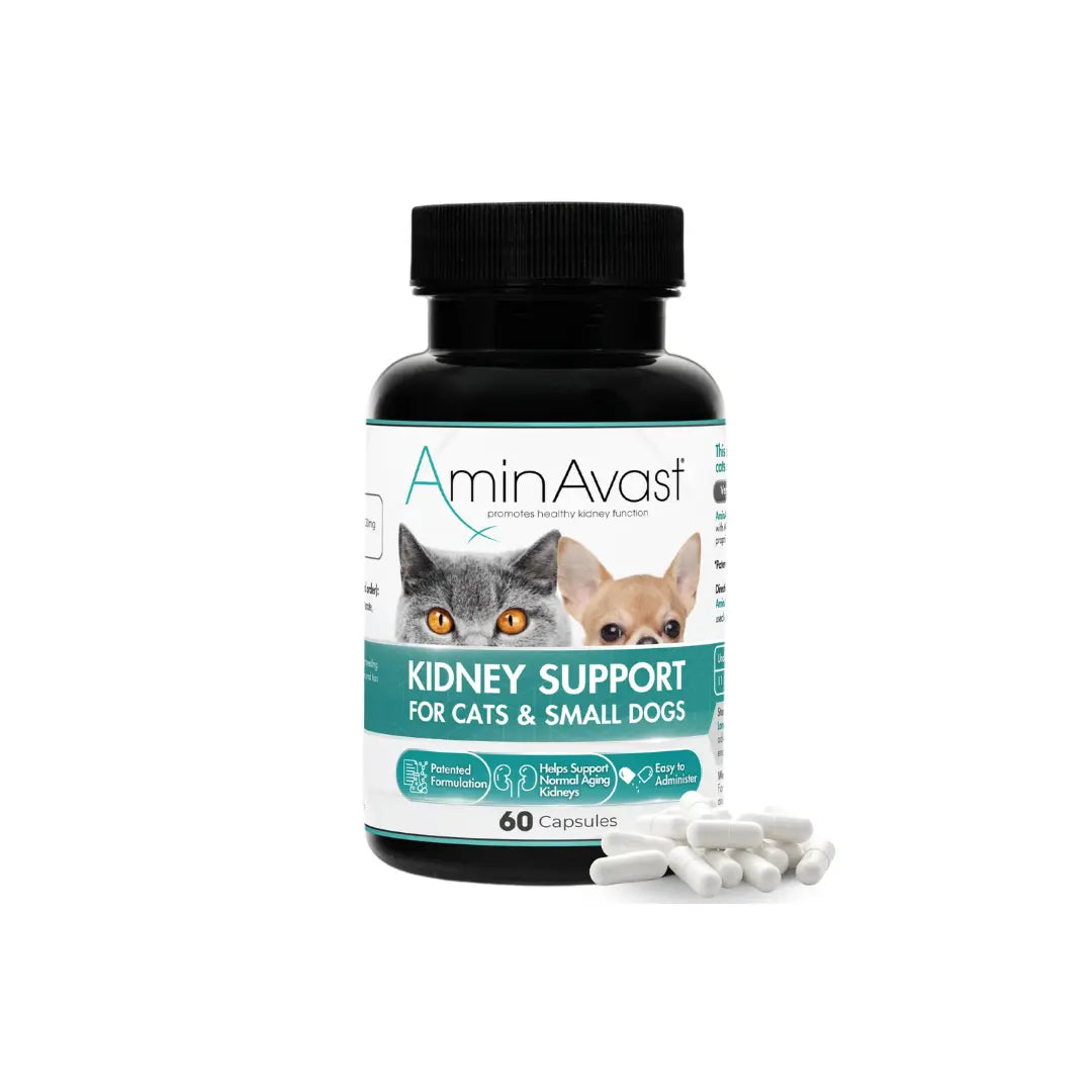 AminAvast Cat and Small Dog Kidney Supplement Supports 60Capsules