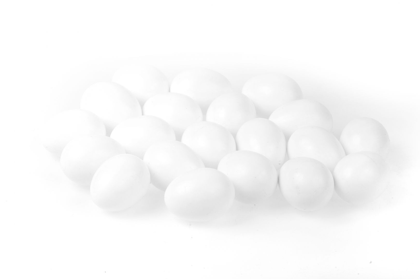 bird supplies Polmark PIGEON EGG