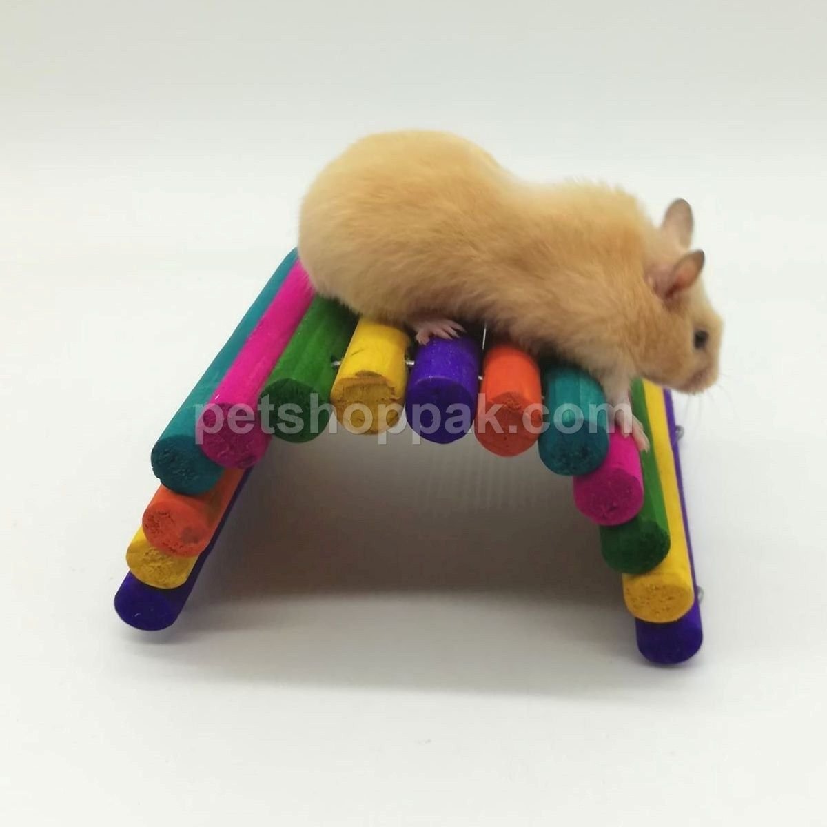 Small Pet Playing Tunnel