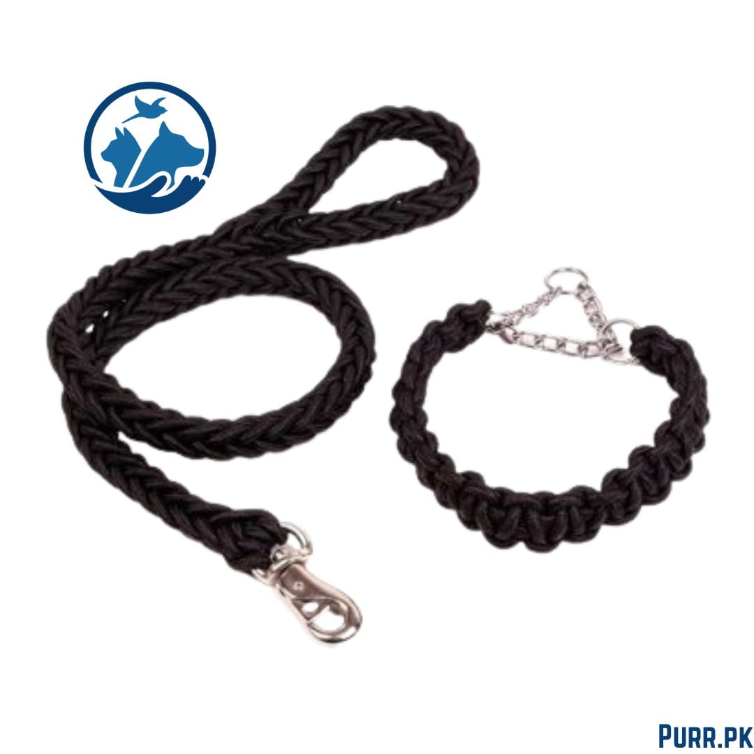 Round Rope Leash With Collar