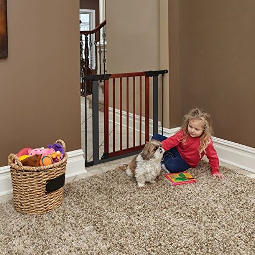 Steel Pet Gate with Decorative Wood Door