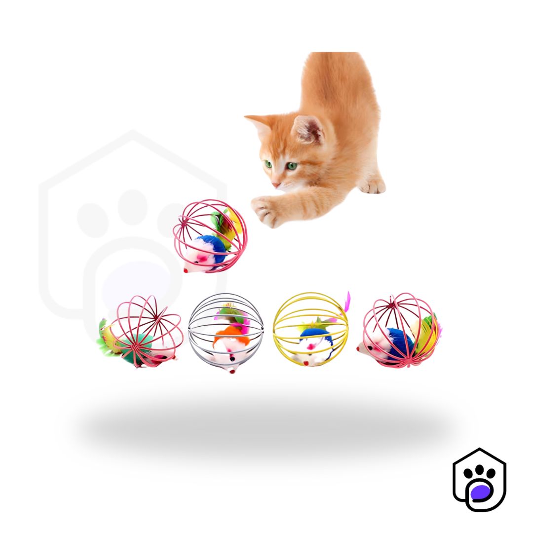 Mouse Cage Ball Toy