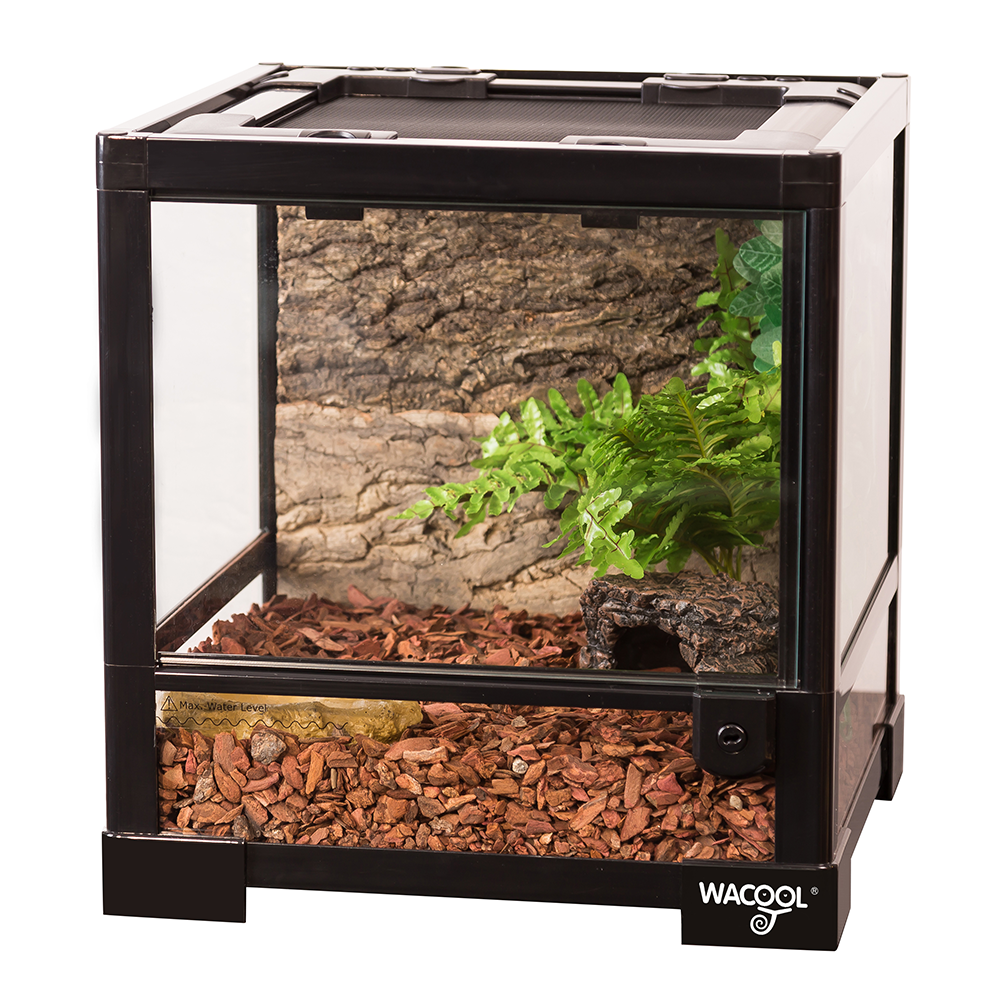 Wacool Knock Down Terrarium Swinging Door 30x30x32cm
