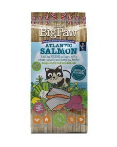 Atlantic Salmon for Adult Cats 1.5kg