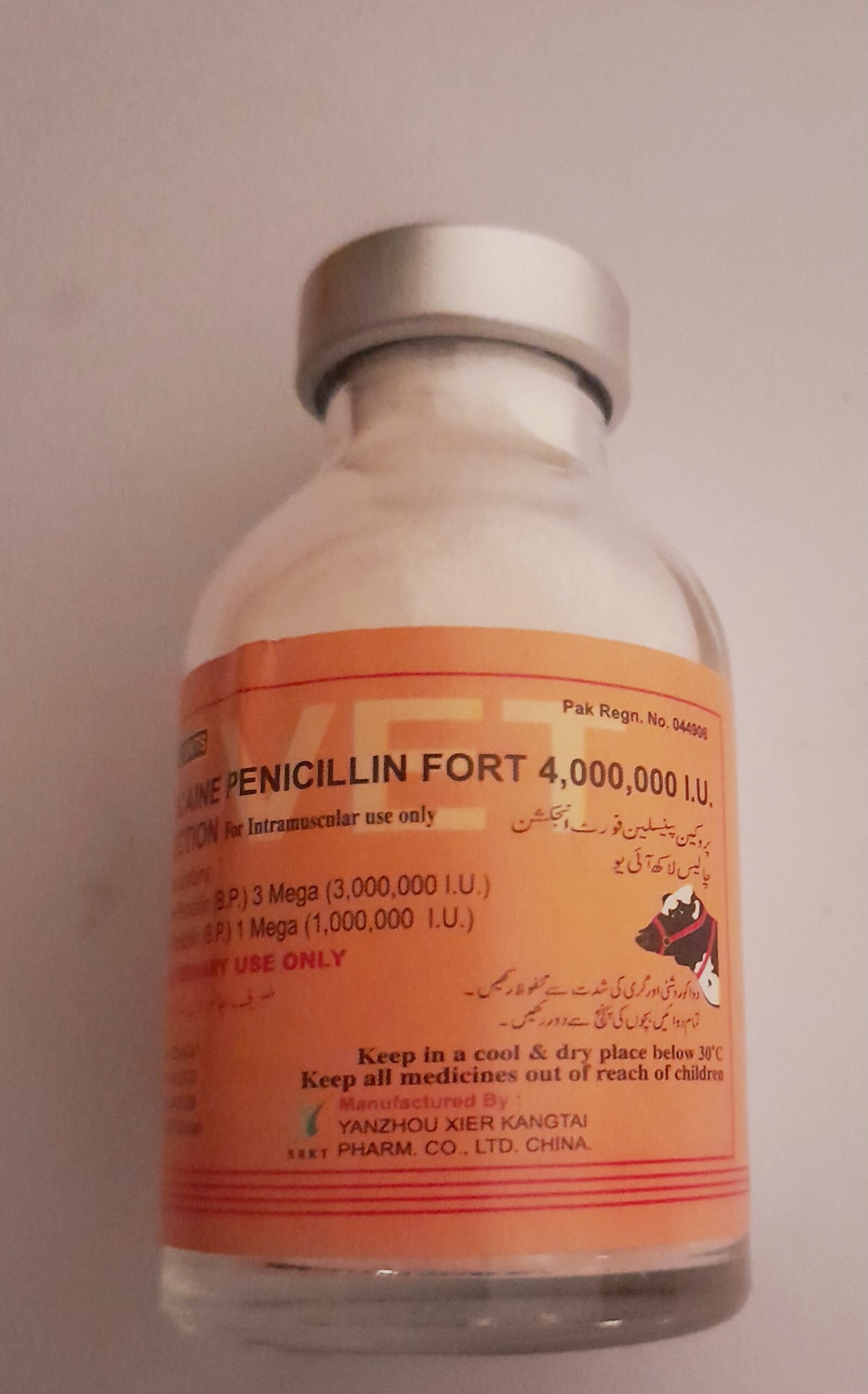 Penicillin fort 40 lac buy online in Pakistan