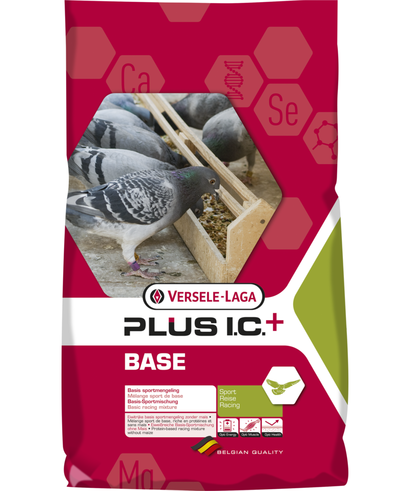 Base plus I C