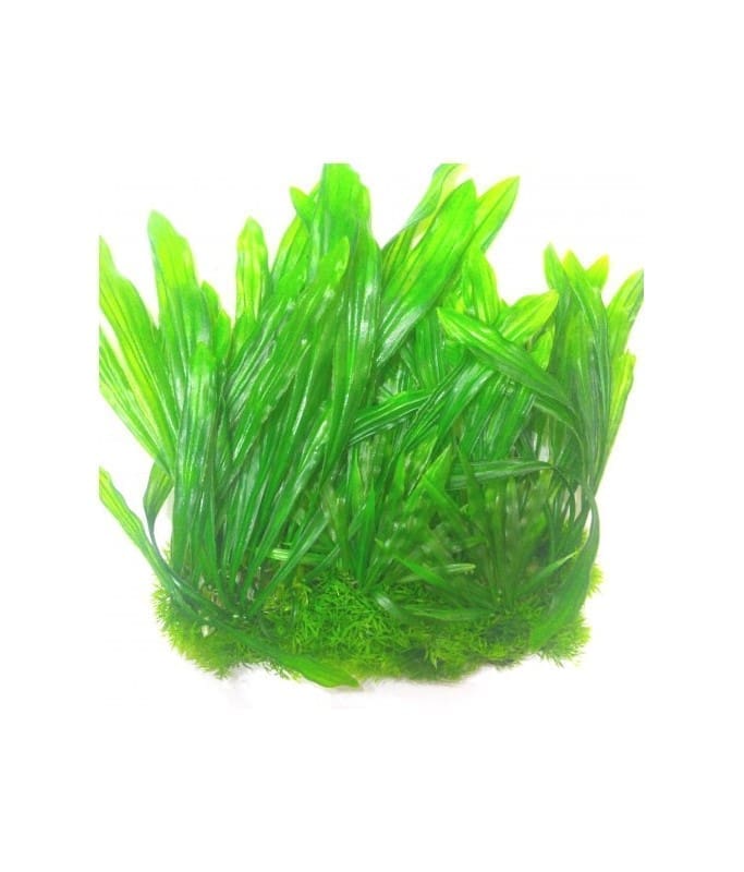 Sea Star Aquarium Decoration – Artificial Plant –