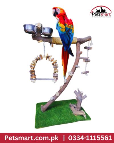 Bird macaw stand