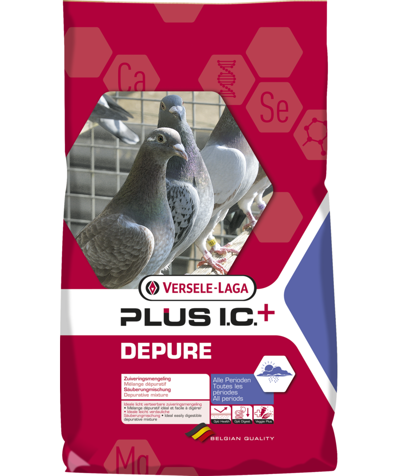 Depure Plus