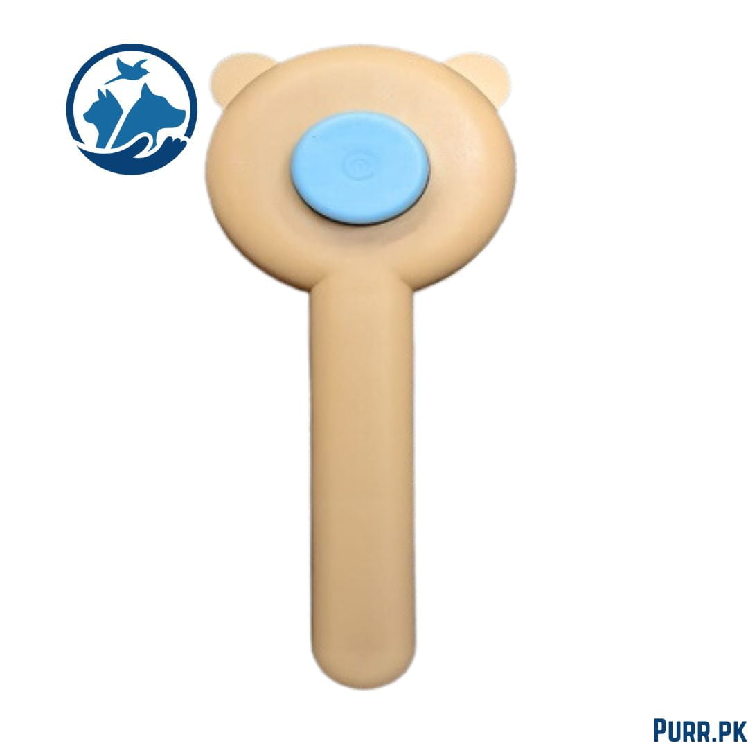 Button Brush Bear Face (In Packing)