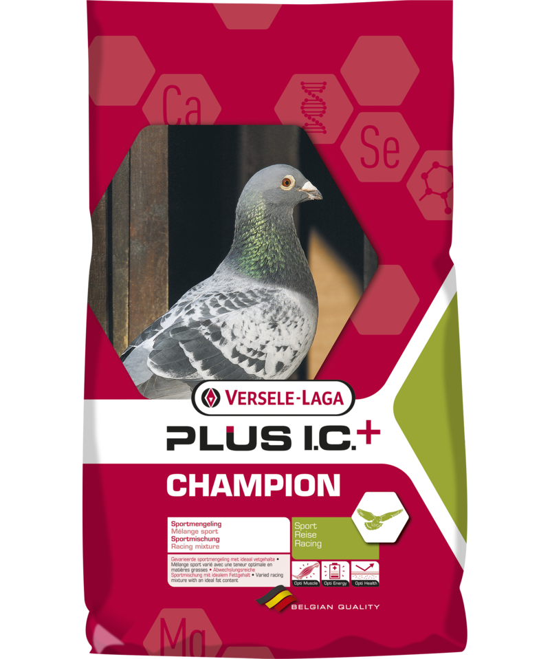 Champion Plus