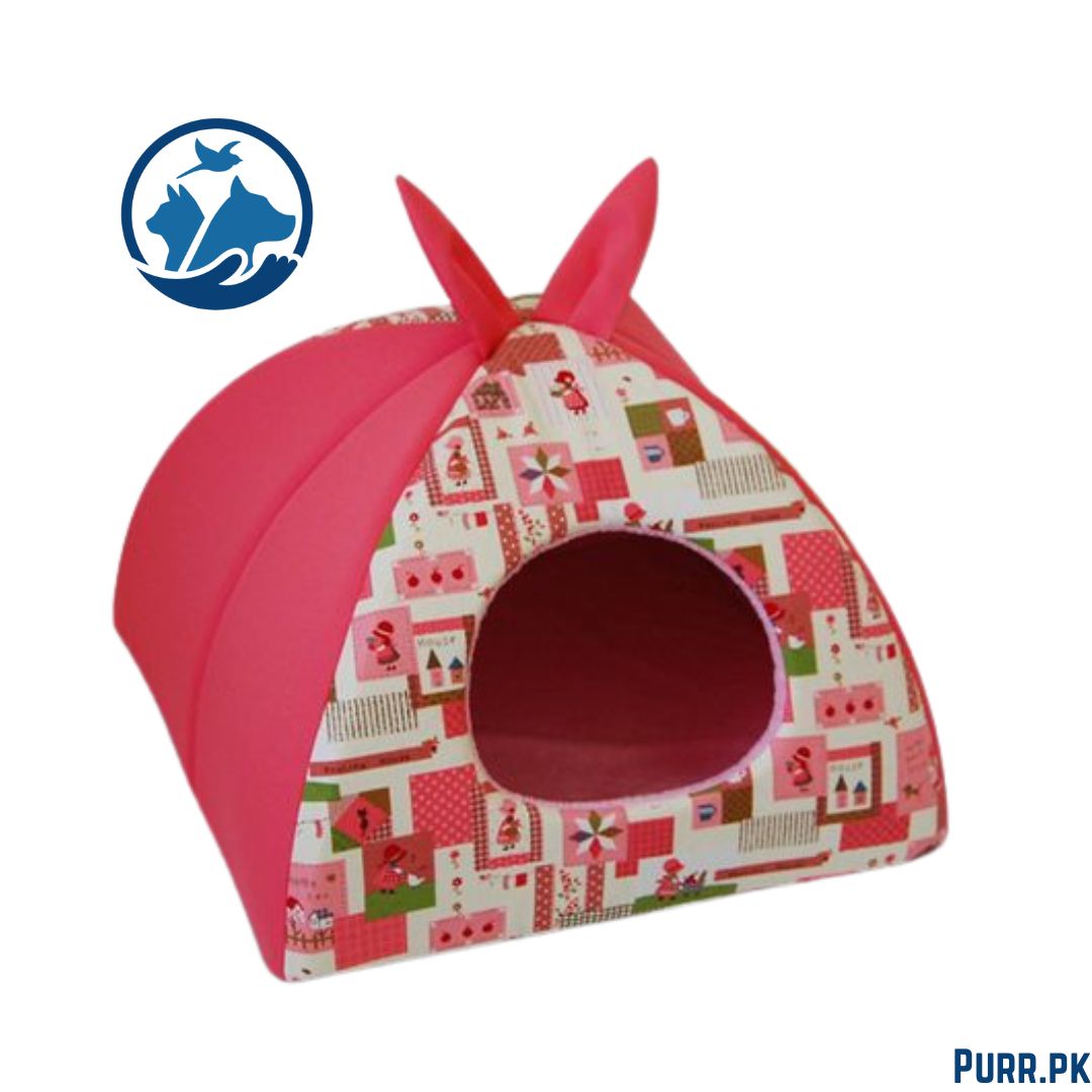 Rabbit Style House