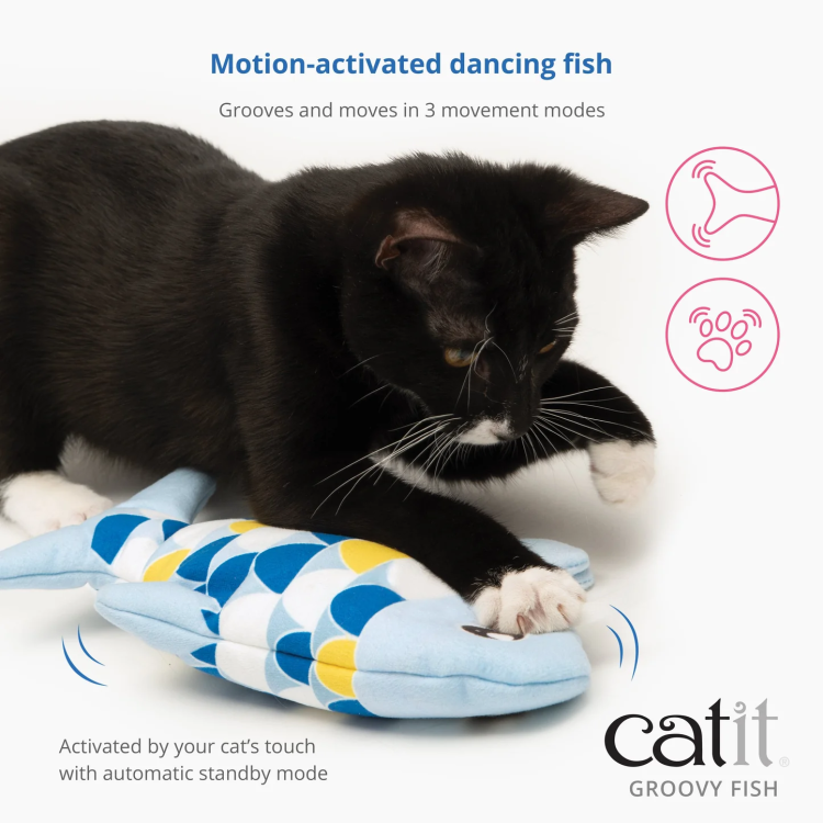 Catit Groovy Fish, Catit Groovy Gecko