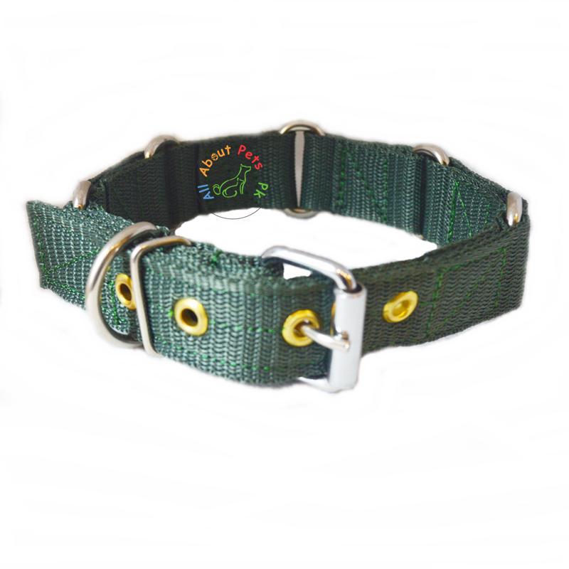 Heavy Duty Nylon Dog Collars