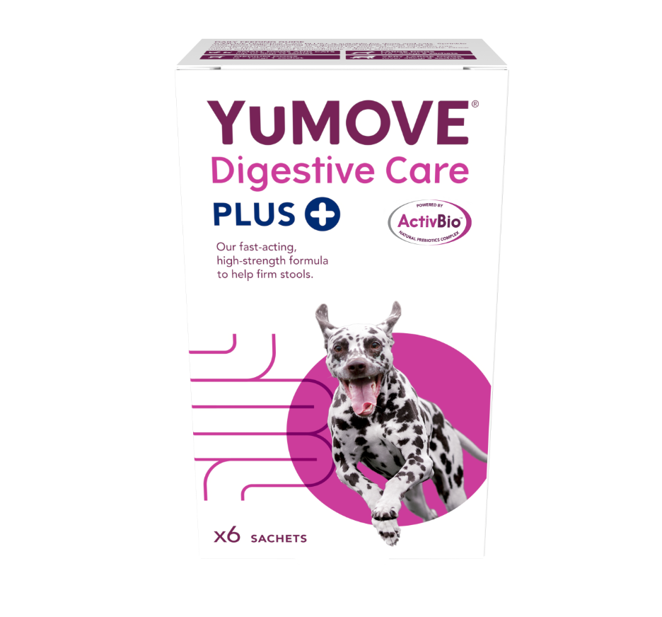 Lintbells Yumove Digestive Care Plus 6 Sachets