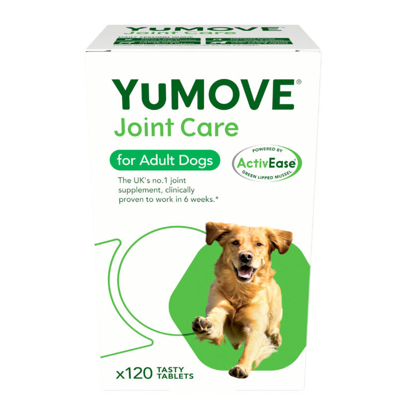 Lintbells Yumove Joint Care For Adult Dogs 120 Tabs
