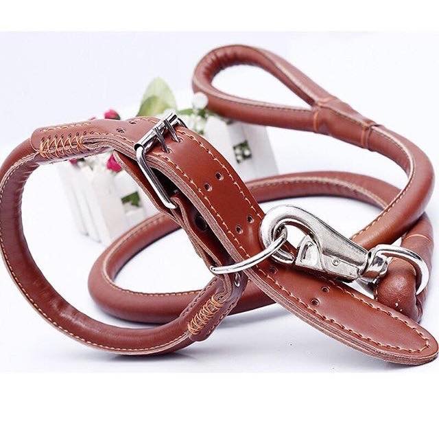 Soft Dog Leash With Collar
