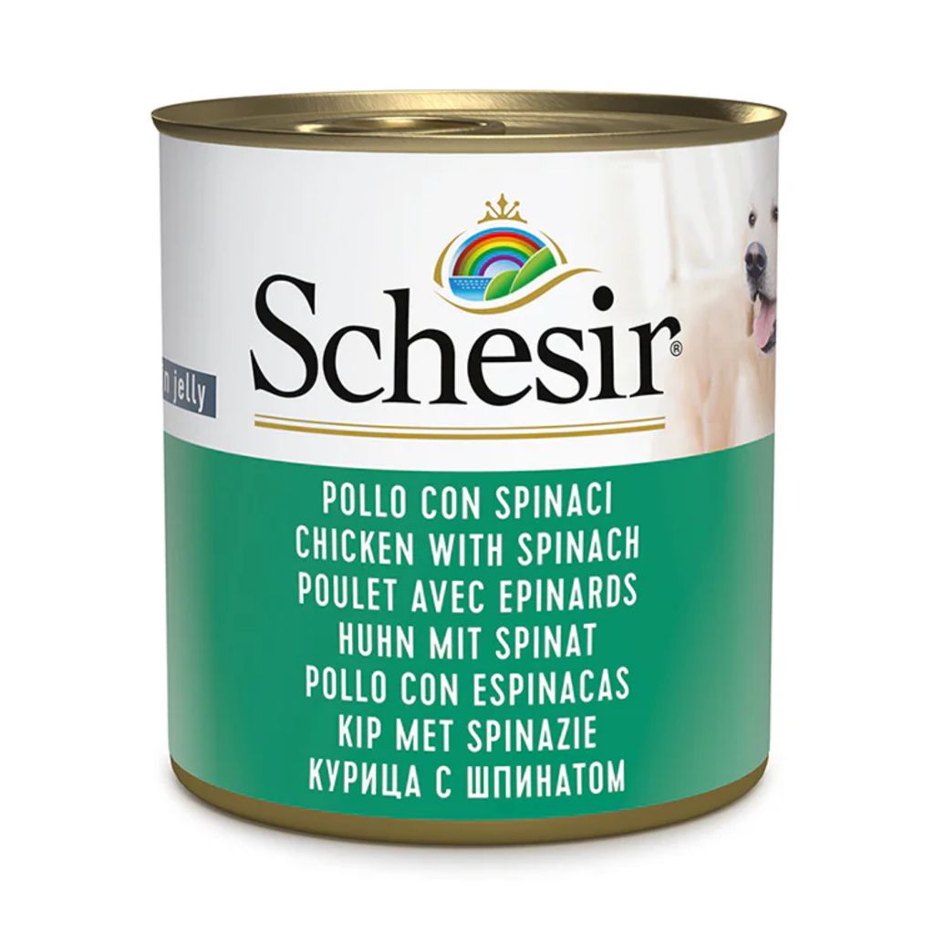 Schesir Wet Dog Food in Jelly – Chicken & Spinach, 285g *16PC | Wholesome, Natural Ingredients