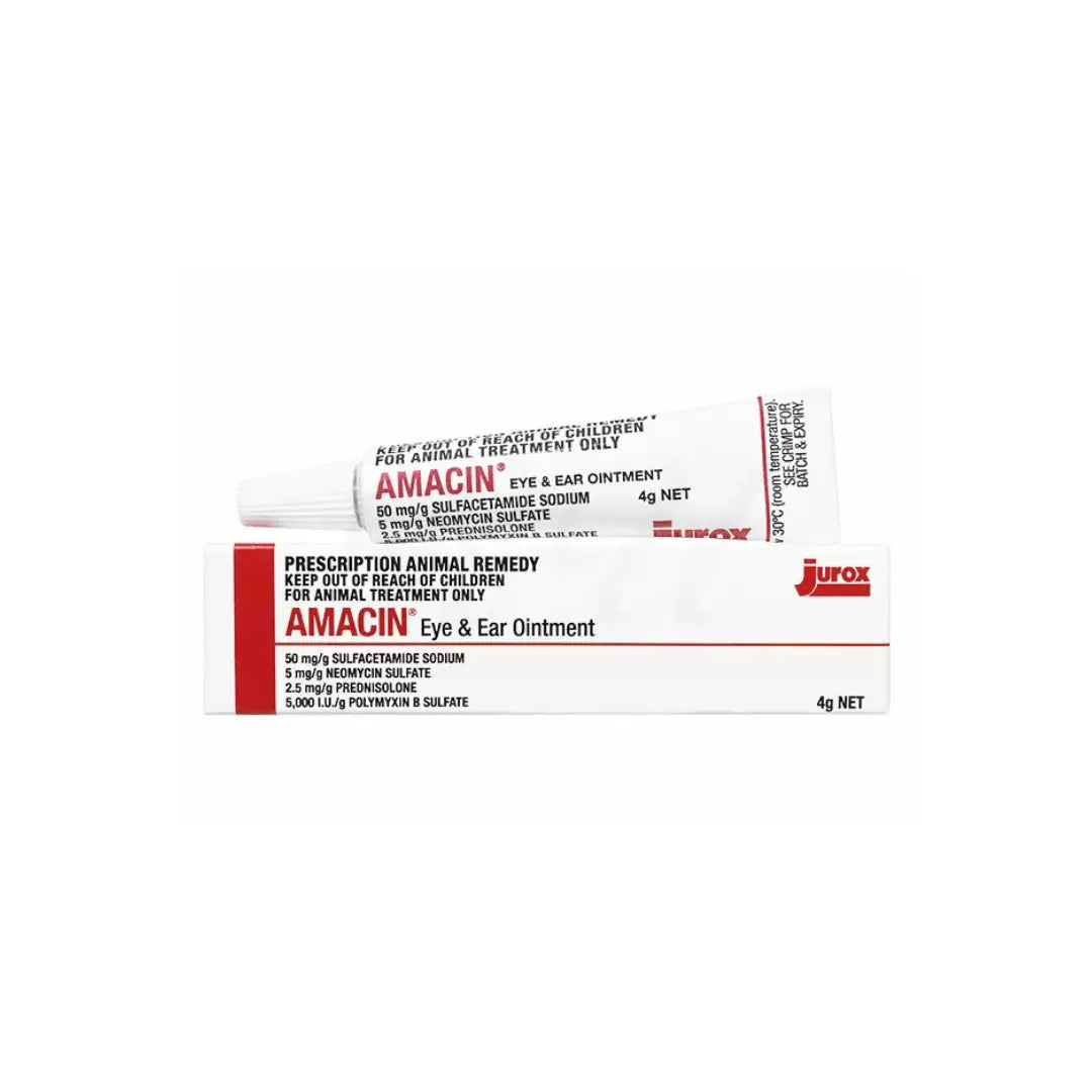 Jurox Amacin Antibiotics Eye and Ear Ointment for Dogs & Cats 4g