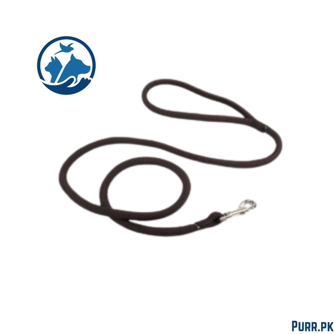 Round Rope Leash Simple