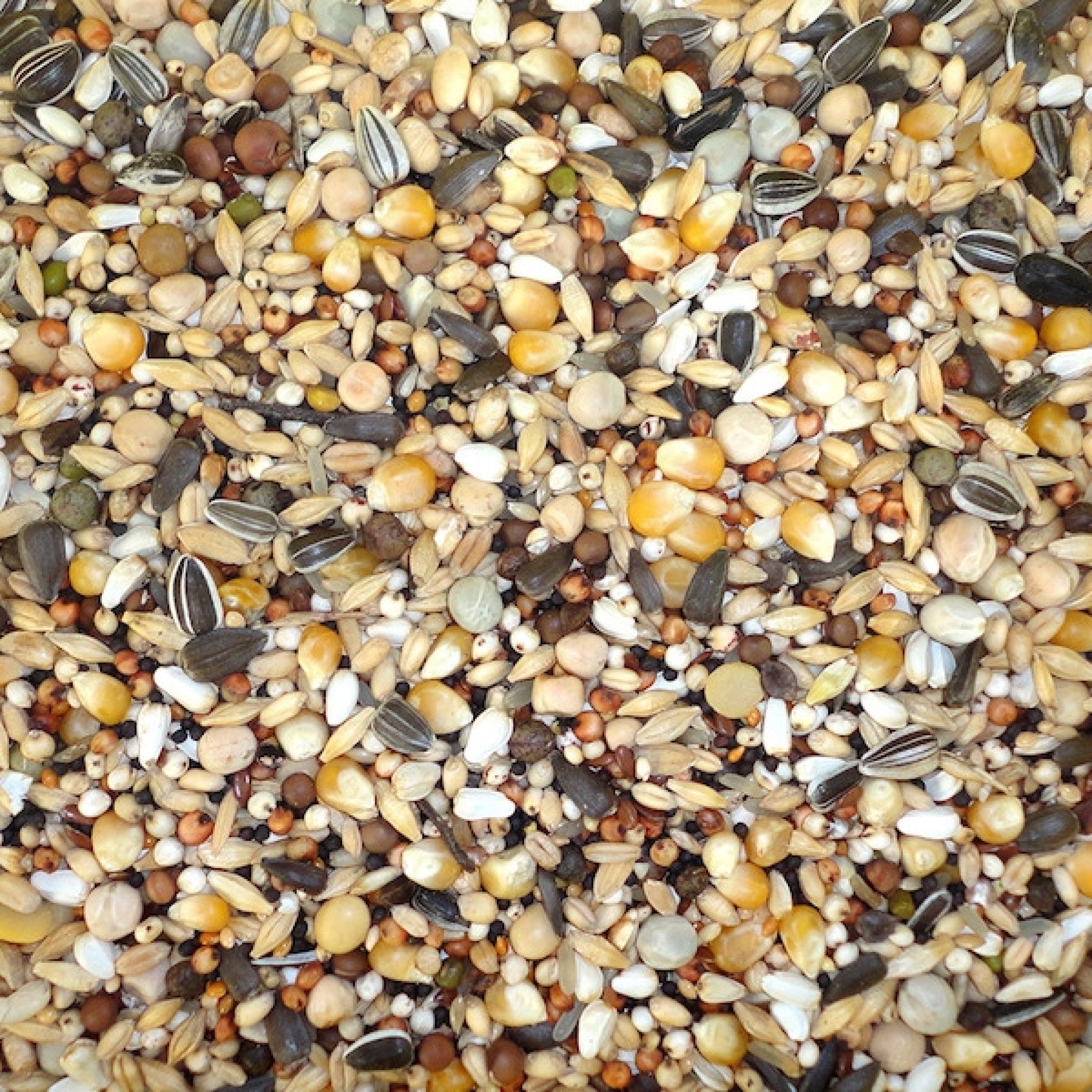 Moulting Diet 20 kg