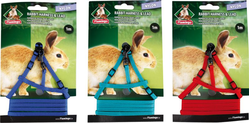 RABBIT Y-HARNESS+LEAD ASS 20/30CM