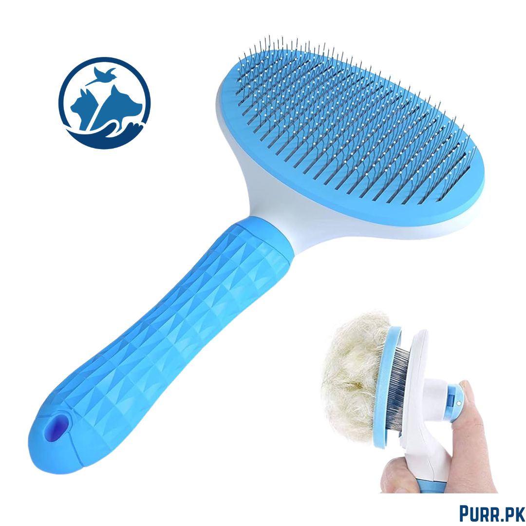 Button Brush Round