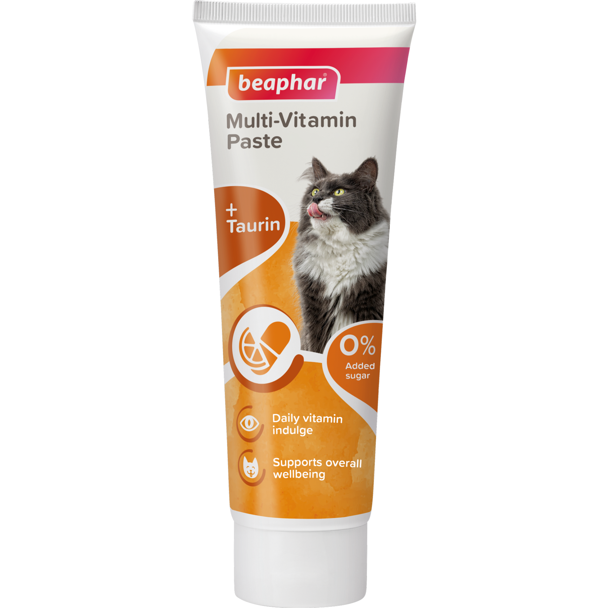 Multi Vitamin Paste Cat 100 g