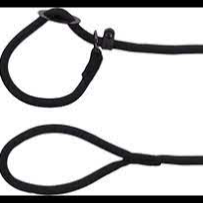 LEASH AIDEN