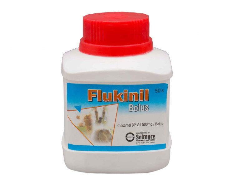 Flukinil