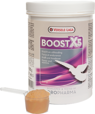 BOOST X5 500GRAM