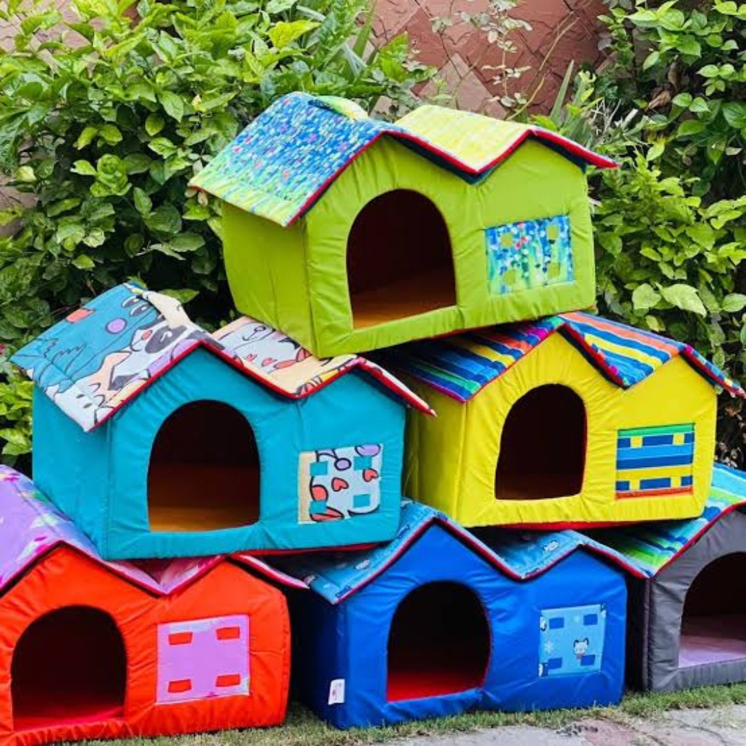 Double Hut House B027
