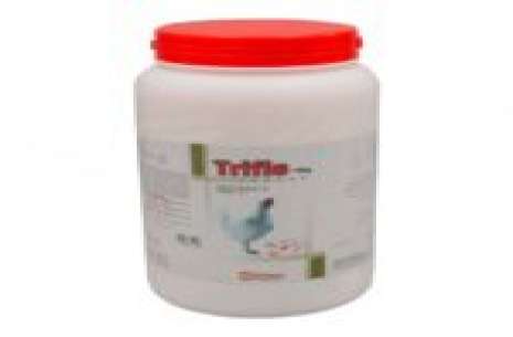 Trifle Powder – 1 Kg
