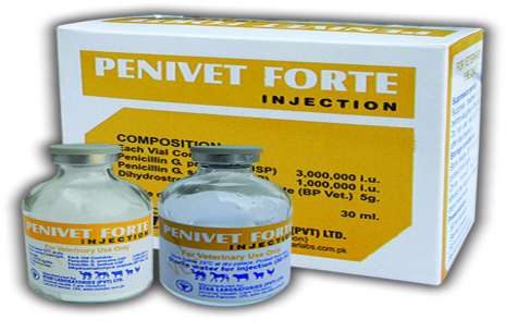 Penivet Forte Injection – 50ml