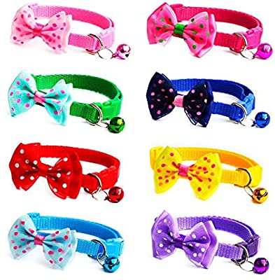 Cat Bow Collar With Bell