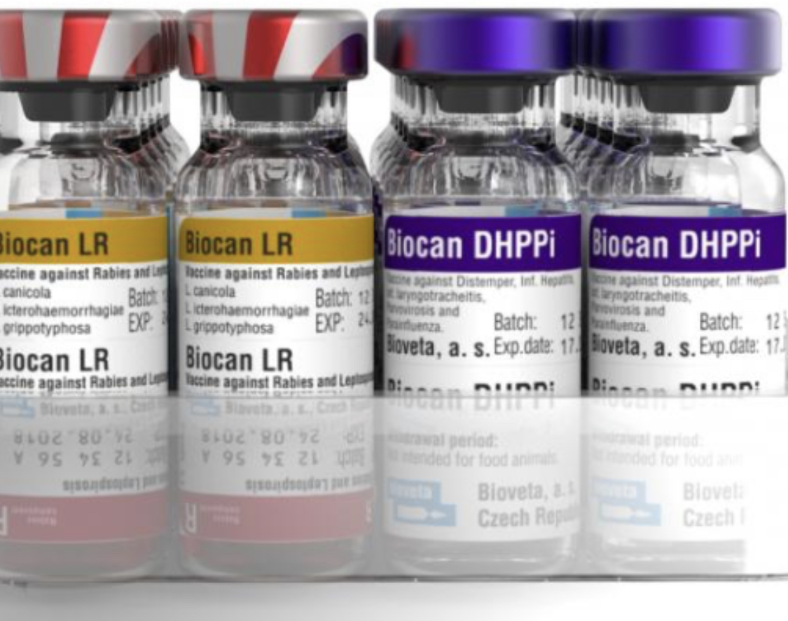Biocan LR vaccine buy online in Pakistan