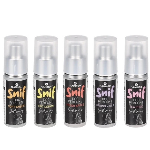 PERFUME RAIKA 5 FRAGRANCES DISPLAY 9ML