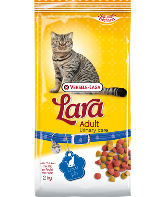 Adult Urinary Care
