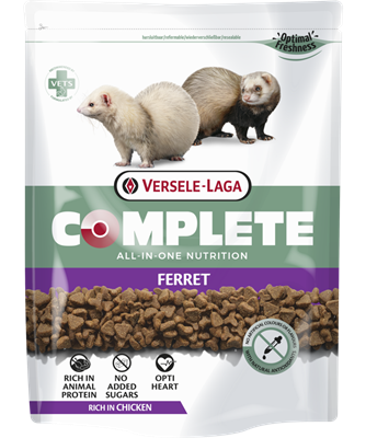 Ferret