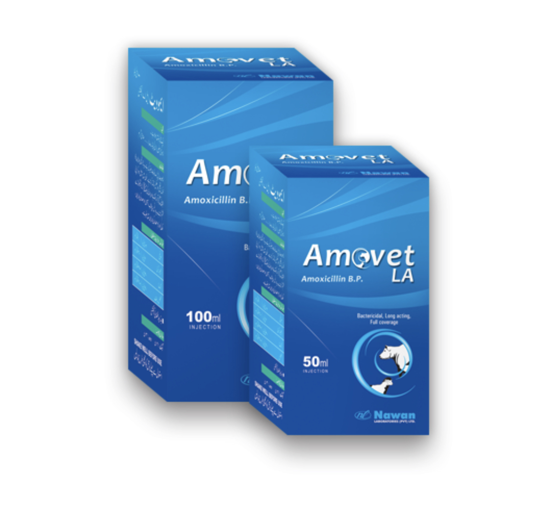 Amoxivet Injection 50Ml buy online in Pakistanp