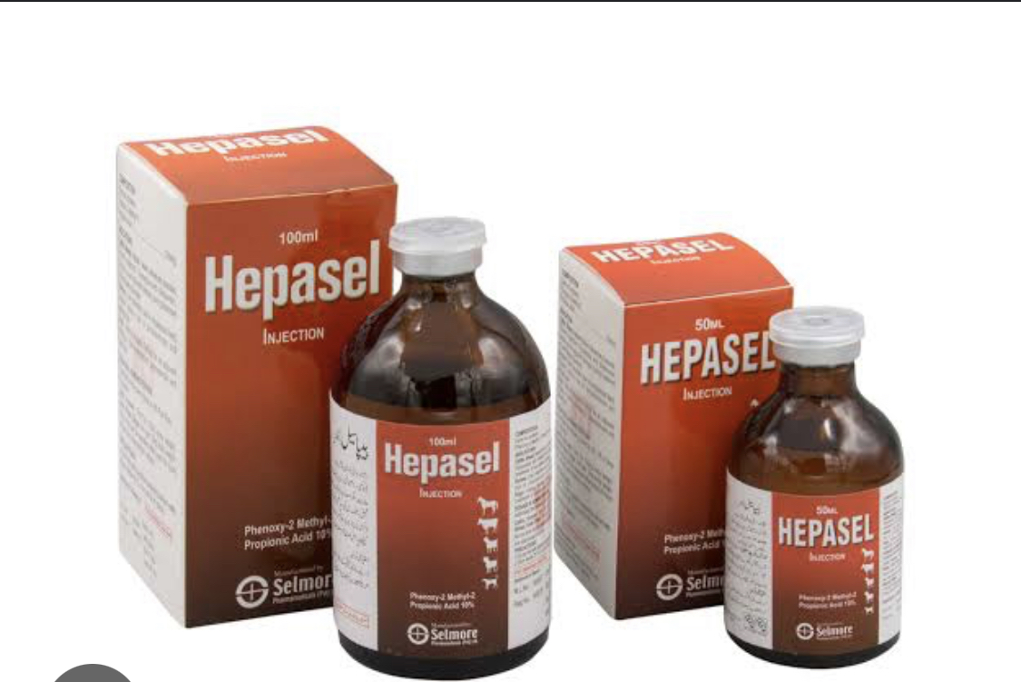 Hepasel injection 100 ml buy online in pakistan