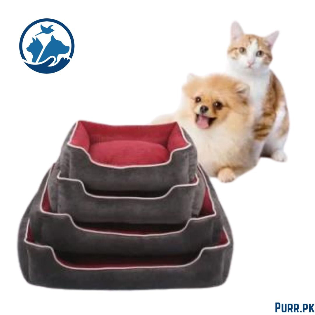 Pets Bed