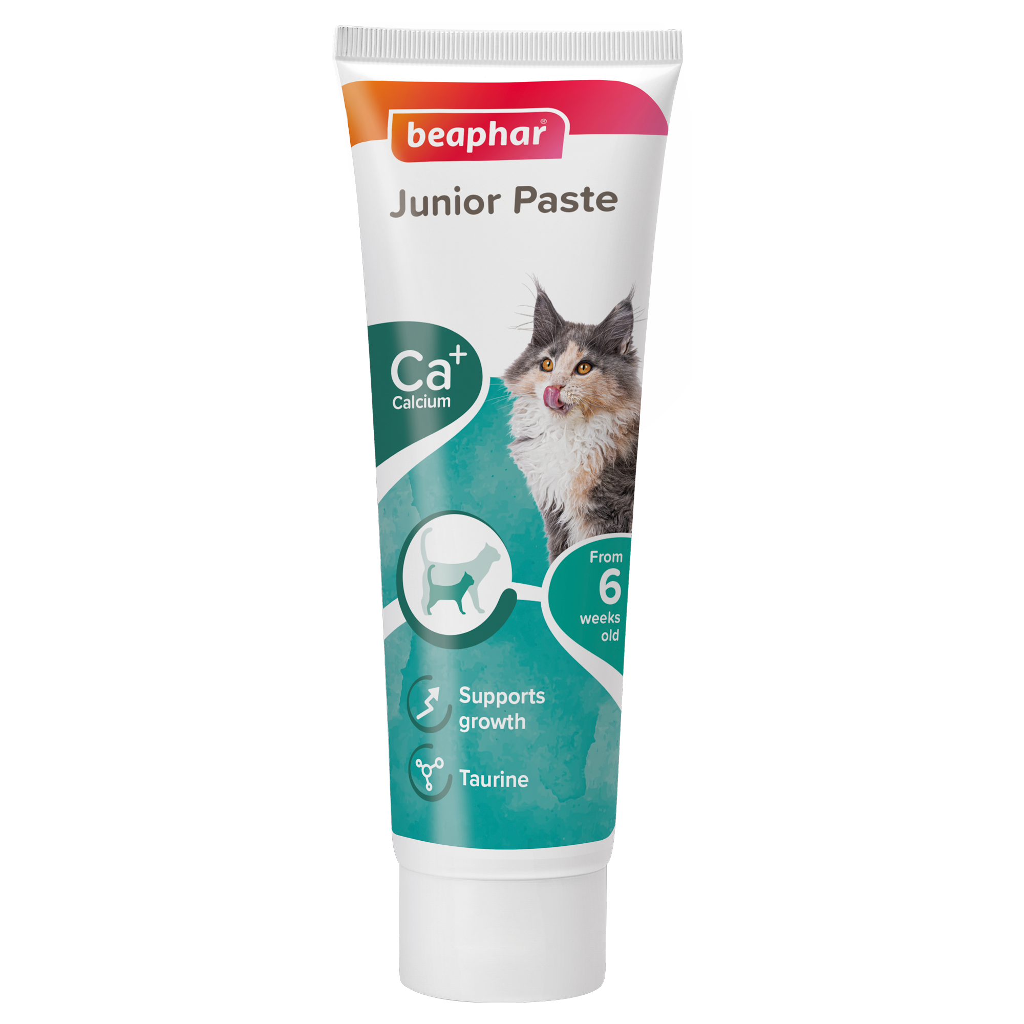 Beaphar Junior Paste - Cat / 100 g