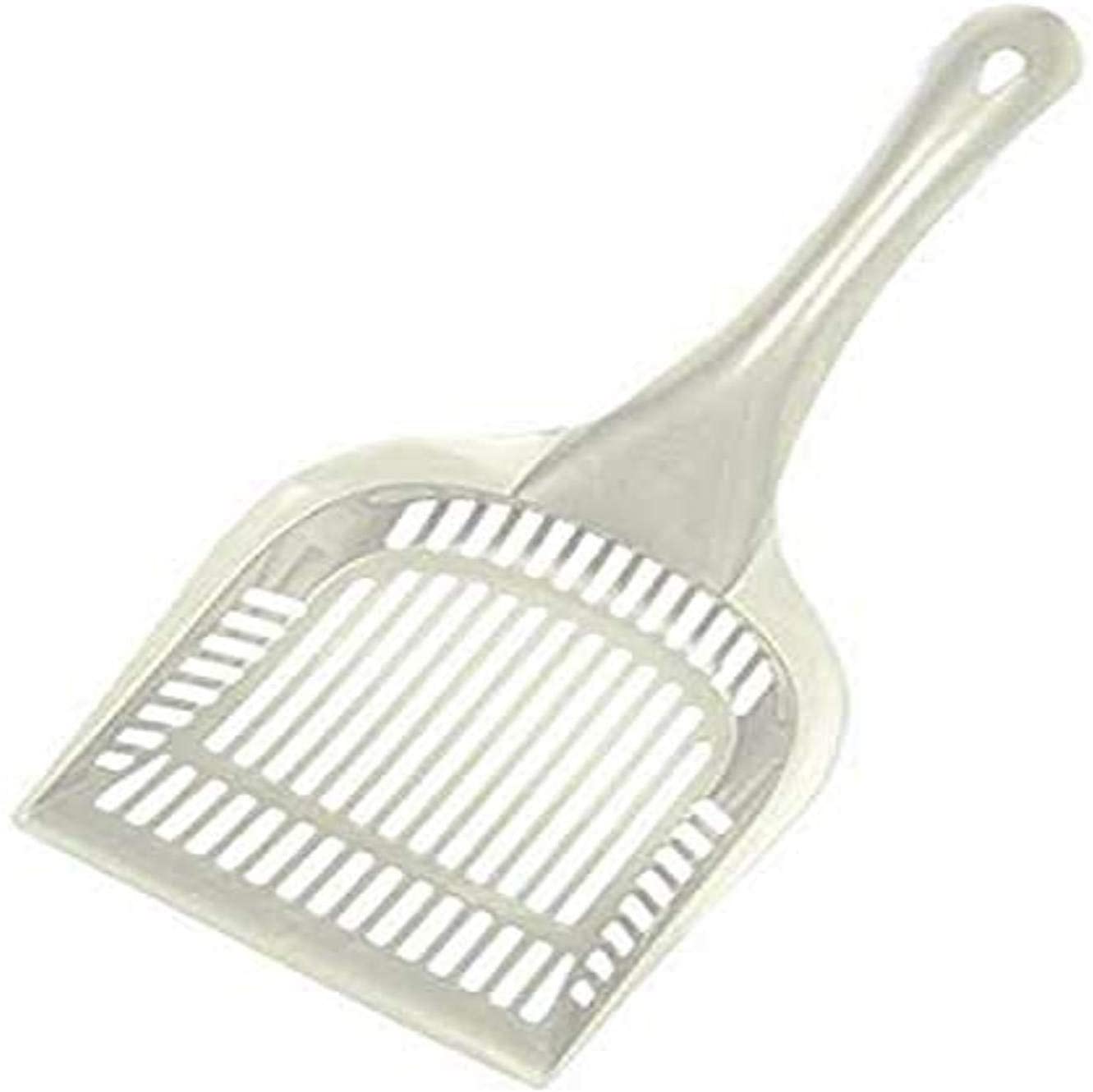 CAT SCOOP
